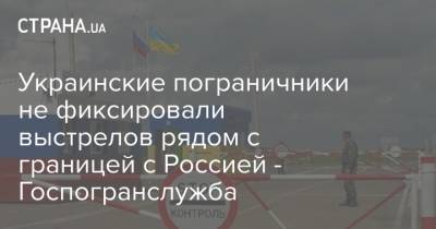 Украинские пограничники не фиксировали выстрелов рядом с границей с Россией - Госпогранслужба