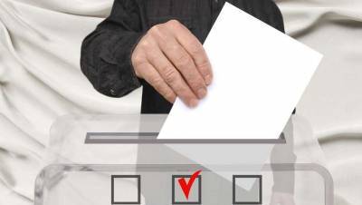 ЦИК разъяснил нормы, касающиеся наблюдателей на выборах