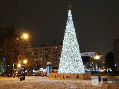 Зимние каникулы в школах Нижегородской области продлевать не будут