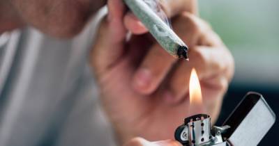 Дым Отечества. Что мешает легализации марихуаны в Украине