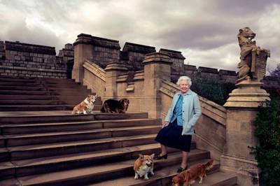 Королева Елизавета II потеряла любимую собаку