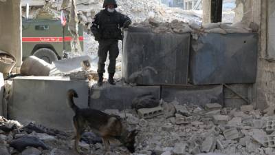 Российские военные обнаружили 10 схронов боевиков на юге Сирии