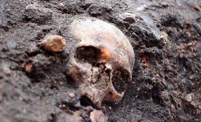 Под Тюменью обнаружили человеческие останки
