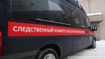 СК возбудил дело по факту убийства младенца в Москве