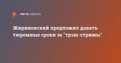 Жириновский предложил давать тюремные сроки за "трэш-стримы"