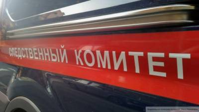 СК возбудил дело по факту убийства двухмесячной девочки в Новой Москве