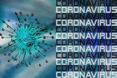 61% заболевших коронавирусом в Марий Эл составляют женщины