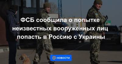 ФСБ сообщила о попытке неизвестных вооруженных лиц попасть в Россию с Украины