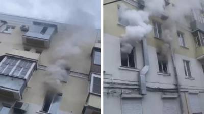 Воронежцы сообщили о массовой гибели животных на пожаре в пятиэтажке
