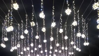 Новогоднюю подсветку в Рязани включат к 15 декабря