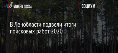 В Ленобласти подвели итоги поисковых работ 2020