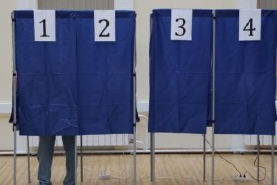 На предстоящих выборах в Тверской области могут применить новые электронные сервисы