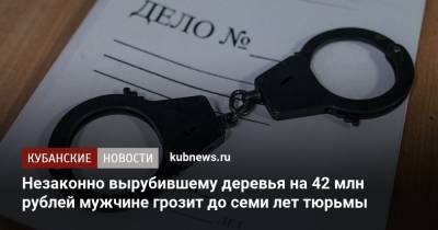Незаконно вырубившему деревья на 42 млн рублей мужчине грозит до семи лет тюрьмы