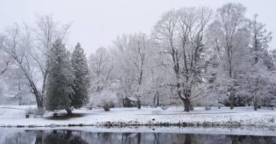 ФОТО. Белая зимняя сказка в Национальном ботаническом саду в Саласпилсе