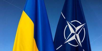 Украина может стать полноценным членном НАТО в 2030 году — замминистра МИД