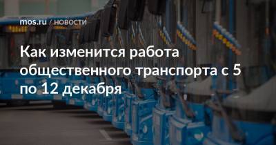 Как изменится работа общественного транспорта с 5 по 12 декабря - mos.ru