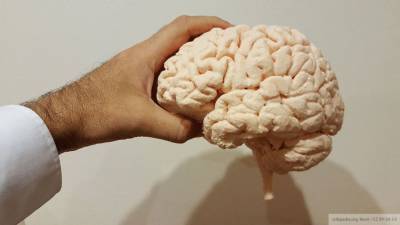 Ученые обнаружили способность мозга человека соображать в 11 измерениях