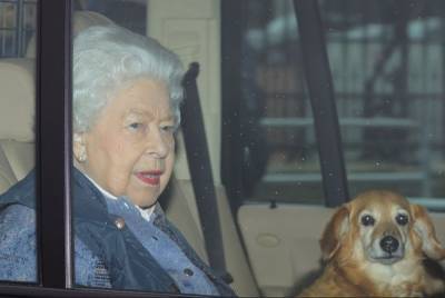 Королева Елизавета II потеряла верного друга, 13-летнего пса дорги