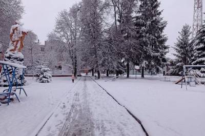 От +12 до 14-градусного мороза: погода разделит Украину на части, прогноз на выходные