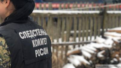 СК возбудил уголовное дело после жестокого убийства семьи в Подмосковье