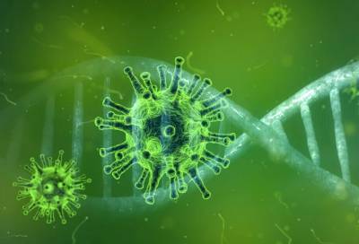 Китайский вирусолог спрогнозировала распространение новых видов коронавируса