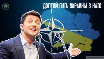 Украина рассчитывает на вступление в НАТО к 2030 году