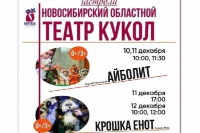 Не смотря на пандемию, в Кострому едет на гастроли театр кукол