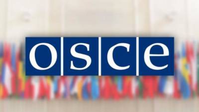 Россия отказалась подписывать призыв ОБСЕ к Беларуси о проведении инклюзивного диалога