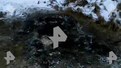 Опубликовано видео с места убийства семьи в Подмосковье