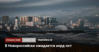 В Новороссийске ожидается норд-ост