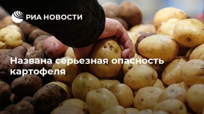 Названа серьезная опасность картофеля