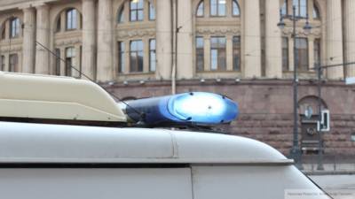 Полиция проверила около 2,5 тыс. петербургских квартир