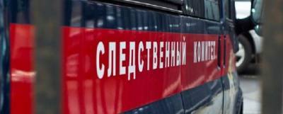 Школьник в Санкт-Петербурге зарезал свою бабушку