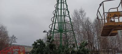 Неизвестные сорвали ветви с одной из новогодних елок, установленных на улицах Петрозаводска