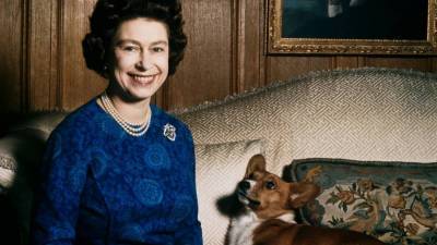 Корги королевы: как эта порода стала символом британской монархии