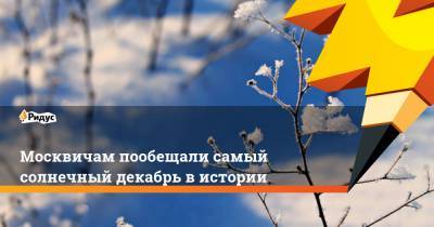 Москвичам пообещали самый солнечный декабрь в истории