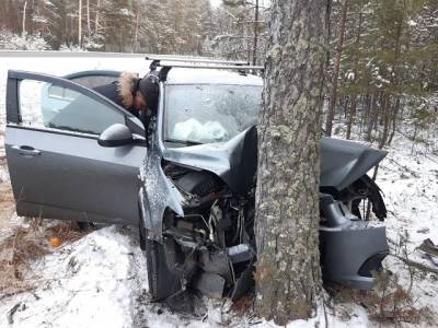 Погибла женщина: в Челябинской области машина вылетела в кювет и въехала в дерево