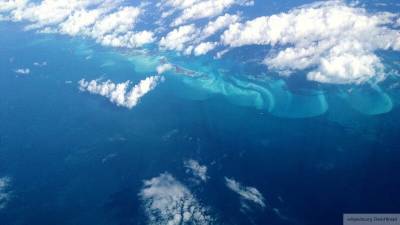 Исследователь раскрыл тайну пропажи "Рейса 19" в Бермудском треугольнике