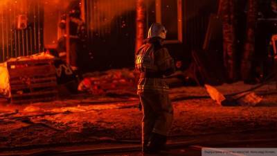 Крупный пожар уничтожил мебельную фабрику в Тольятти