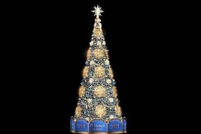 В Симферополе показали фото главной новогодней елки Крыма