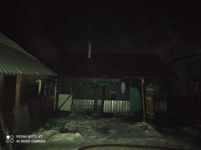 Житель Сеченова сгорел при пожаре в бане