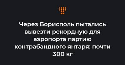 Через Борисполь пытались вывезти рекордную для аэропорта партию контрабандного янтаря: почти 300 кг