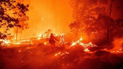 В Калифорнии снова вспыхнули пожары: тысячи людей эвакуированы – фото, видео