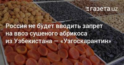 Россия не будет вводить запрет на ввоз сушеного абрикоса из Узбекистана — «Узгоскарантин»