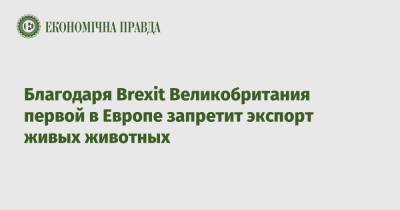 Благодаря Brexit Великобритания первой в Европе запретит экспорт живых животных