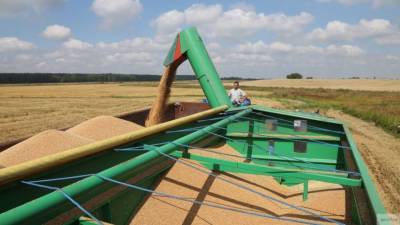 Новая зерновая стратегия усилит продовольственную безопасность России