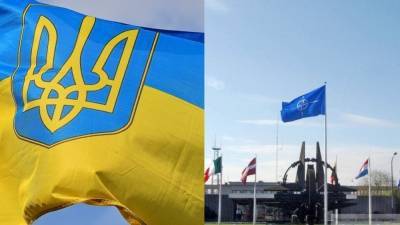 Киев заявил о намерении увеличить взносы в операции НАТО