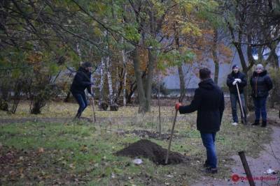 В Одессе высаживают аллею в честь погибших на Донбассе женщин-АТОшниц