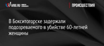 В Бокситогорске задержали подозреваемого в убийстве 60-летней женщины