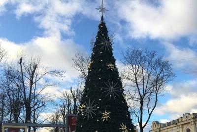 Главную 18-метровую елку четырех лет от роду в Смоленске украсят с 7 декабря